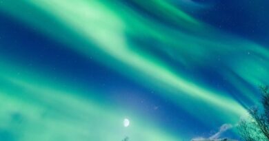 Las auroras boreales: qué son y cómo se forman