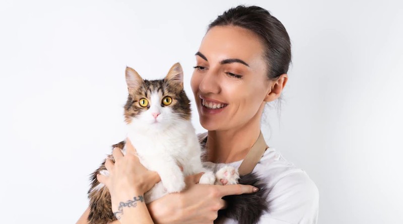Los gatos como mascotas: cómo elegir uno para tu hogar