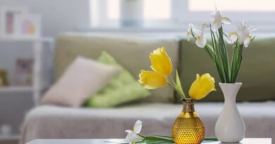 Plantas de interior con flores para decorar el hogar
