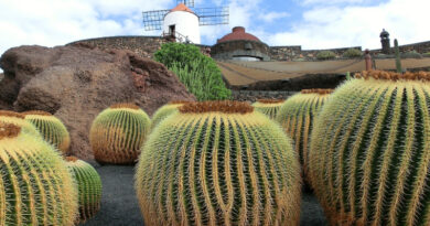 Lanzarote