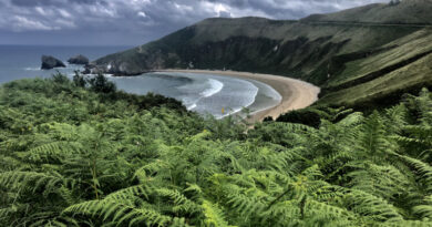 Playa de Torimbia