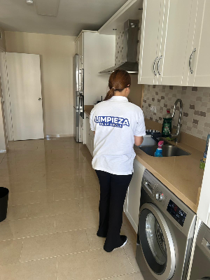 Limpieza profesional