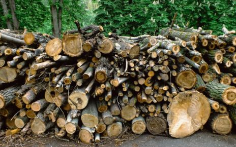 Madera