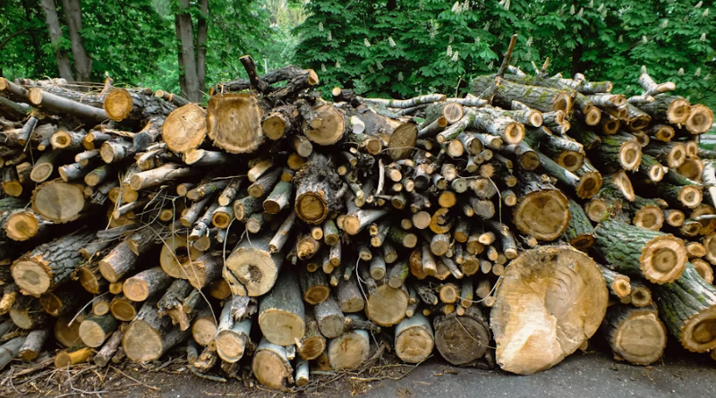 Madera