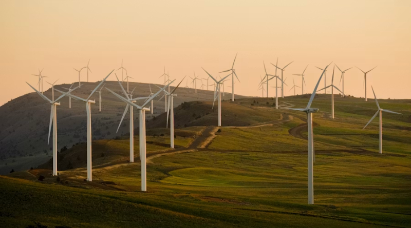Molinos de viento